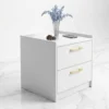 Modern White 2-Drawer Nightstand with Gold Handles